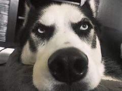 -ZEMOCAFE·FUSION FOOD(西交利物浦店)