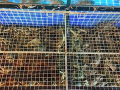 -回·龙虾铺·盆盆蟹·烧烤大排档(回龙观店)