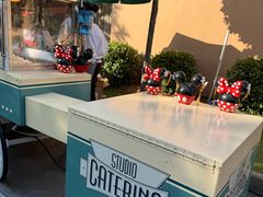 -巴黎迪士尼乐园