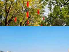 -番禺大夫山森林公园