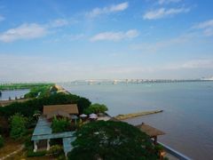 -大湾区中央湿地公园