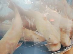 -蜀滋香鲜鱼美蛙火锅(339店)