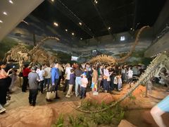 -自贡恐龙博物馆