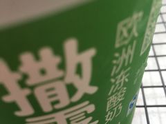 -Salud撒露欧洲冻酸奶(北苑上品店)