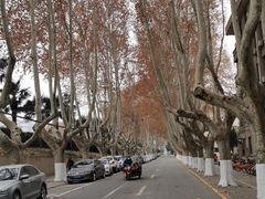 -真爱范特西KTV(交大店)