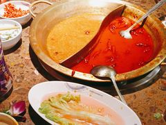 -小龙坎火锅(春熙太古里店)