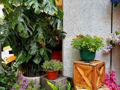 -Money Shops(愚园路店)