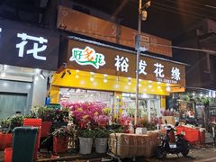 -溪岸路花鸟市场