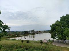 -空港花田景区