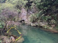 -百杖潭景区