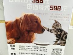 -瑞派康怡24h宠物医院·犬猫医疗中心·微创绝育(瑞景分院)