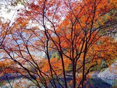 -叠溪松坪沟景区