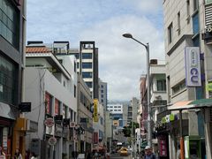 -西归浦每天偶来市场