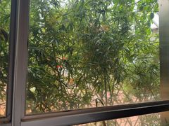 -巴蜀风月·聚会团建·生日宴(宝安店)