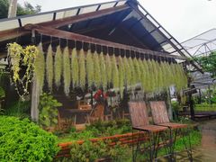 -Ohkajhu Organic Farm Sansai