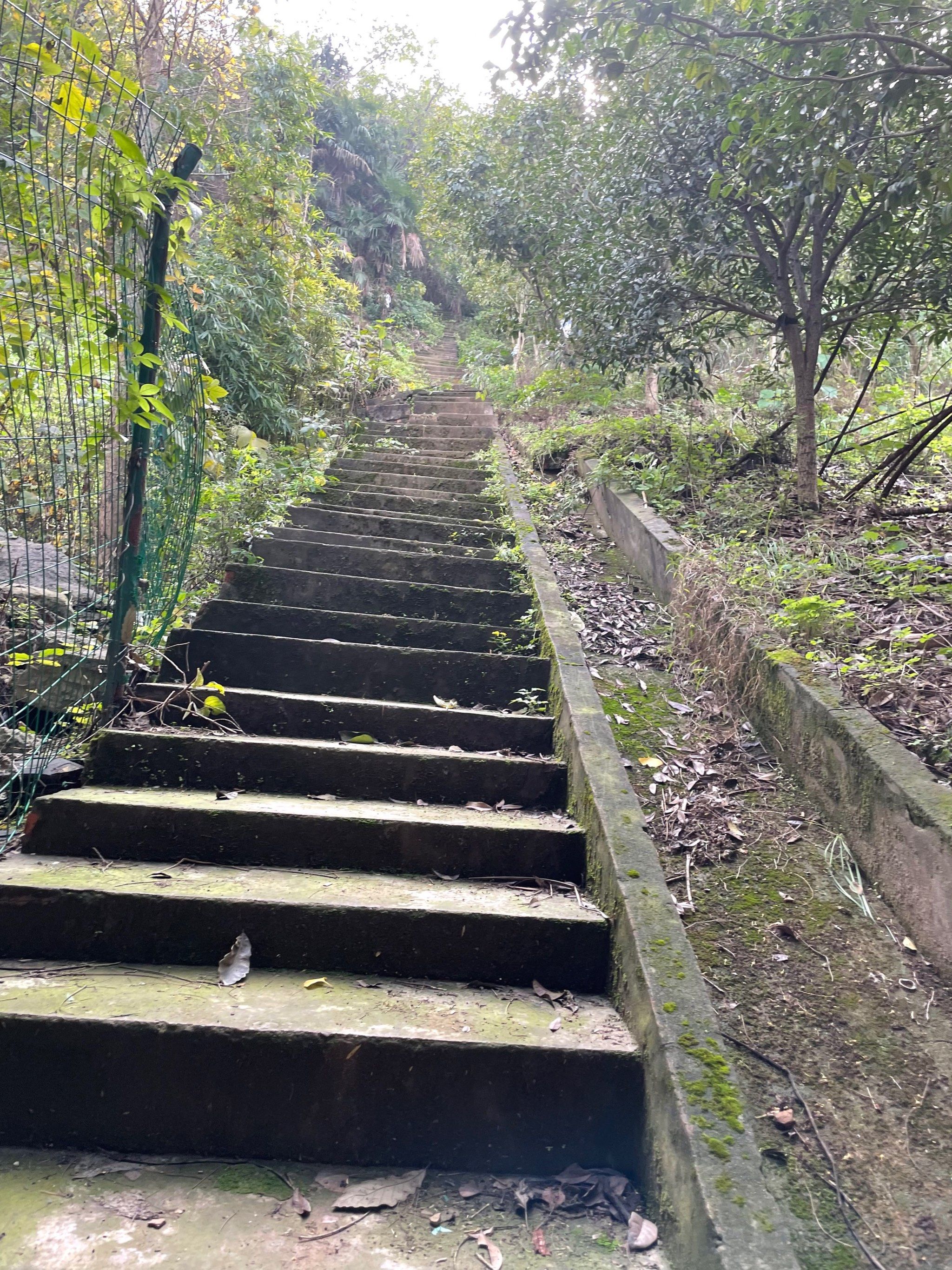 北碚施家梁健身梯