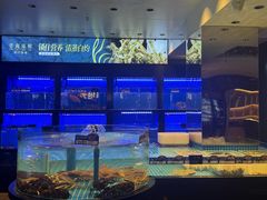 -望海臻鲜·海鲜餐厅