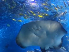 -太平洋海底世界