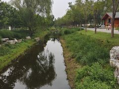 -东郊湿地公园