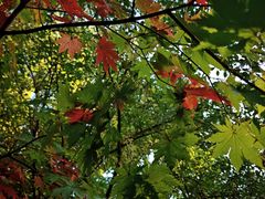 -长春市南湖公园