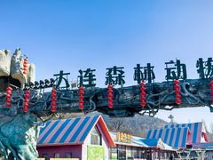 -大连森林动物园