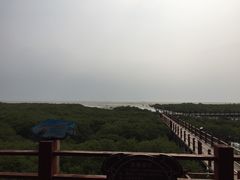 -北海金海湾红树林生态旅游区