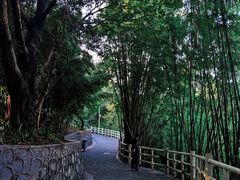 -晓港公园