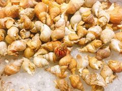 -苏州吴江盛虹万丽酒店-燃餐厅(盛泽店)