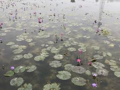 -那考河湿地公园
