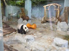 -海南热带野生动植物园