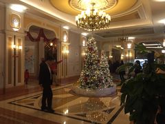 -平湖九龙山庄园圣马可酒店