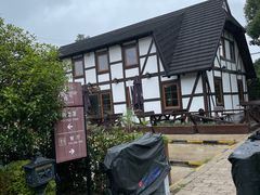 -金山农民画村-枫泾波兰倒置屋