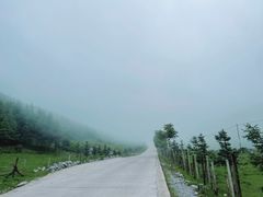 -齐岳山