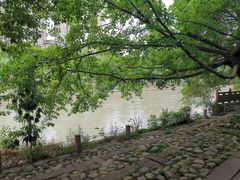 -成都市活水公园