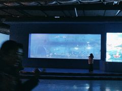 -重庆欢乐海底世界