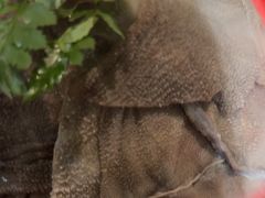 -草原塞蛮羊火锅城(港湾店)