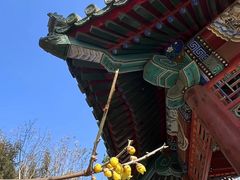 -月坛公园