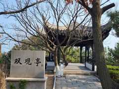 -石老人观光园