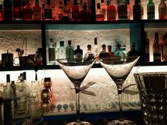 -Sirena海妖日咖夜酒