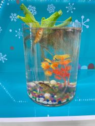 -芙贝佳禾·痘肌管理中心