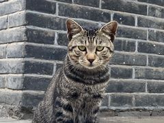 -沈阳市东陵公园