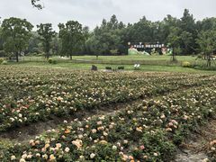 -同里国家湿地公园
