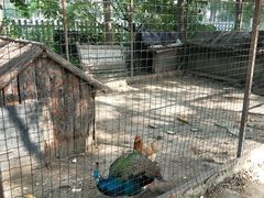 -意大利农场度假村