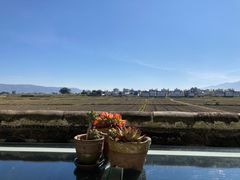 -喜林苑·稻田餐厅(品相府店)