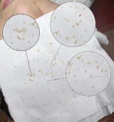 -Cream88颜皮肤管理中心