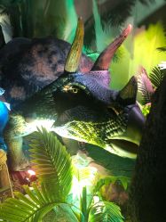 -恐龙探索乐园(磁器口店)