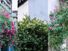 -雨花胜境