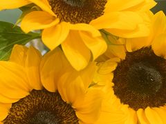 厨神炒饭-翠湖宾馆·中餐厅