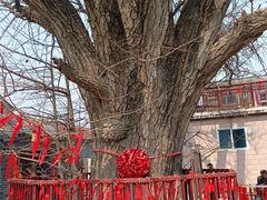 -康陵正德春饼宴26号