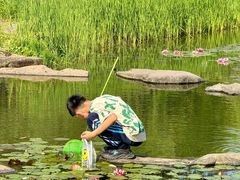 -暨阳湖生态园
